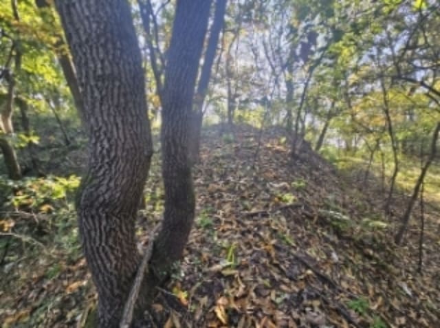 B000272202401300073513.jpg