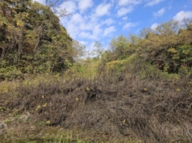 B000272202401300074741.jpg