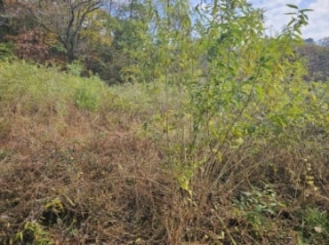 B000272202401300074744.jpg