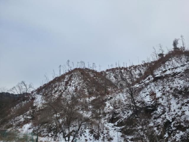 B000272202501300000672.jpg