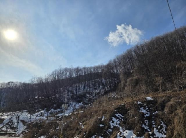 B000272202501300000674.jpg