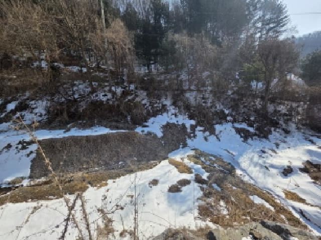 B000272202501300000761.jpg