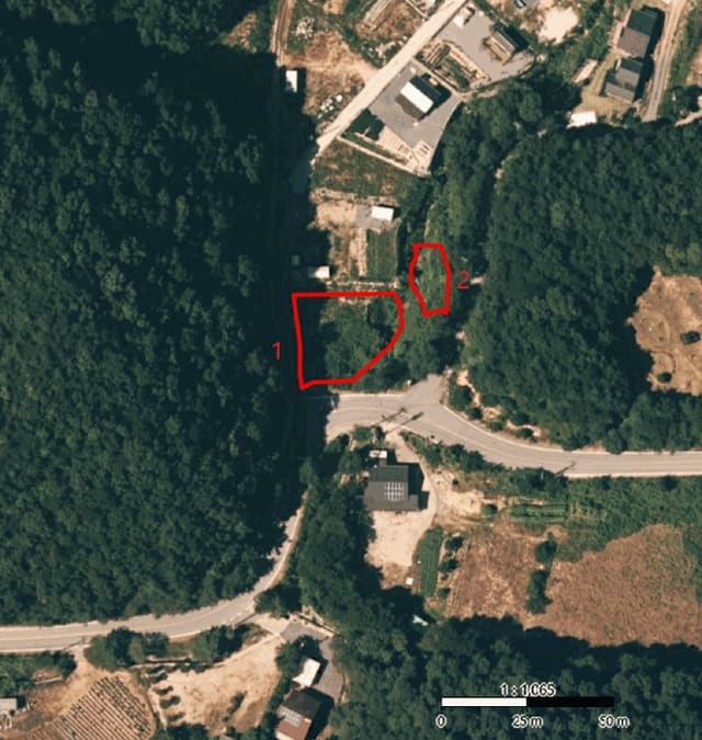 B000272202501300000763.jpg