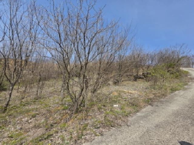 B000272202501300000851.jpg