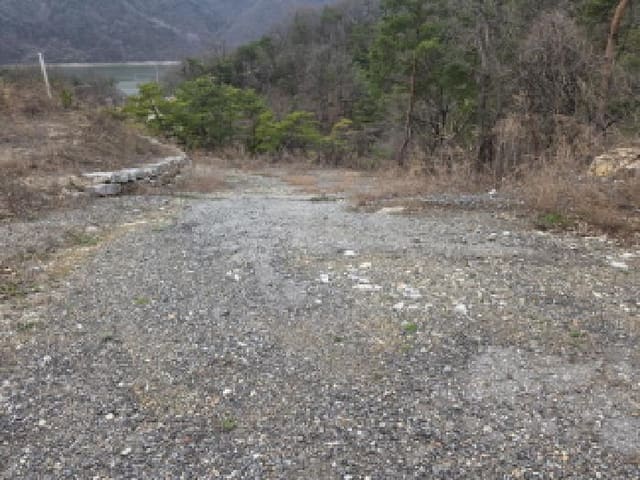 B000272202501300000893.jpg