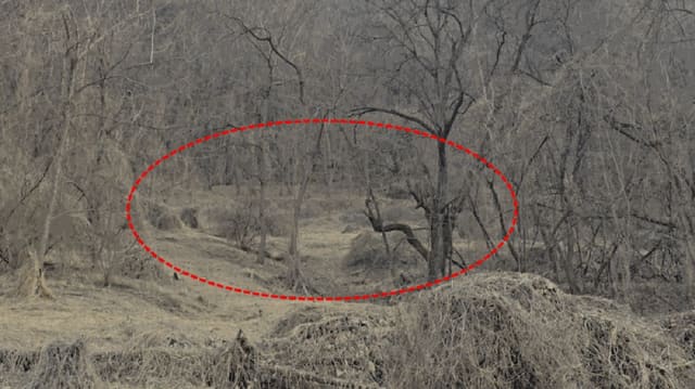B000272202501300000904.jpg