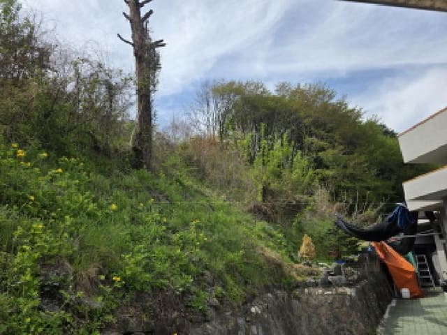 B000272202501300000984.jpg