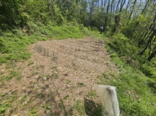 B000272202501300000993.jpg