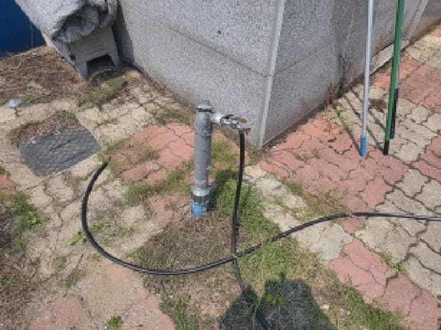 B000272202501300001082.jpg