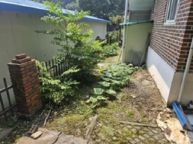 B000272202501300001264.jpg