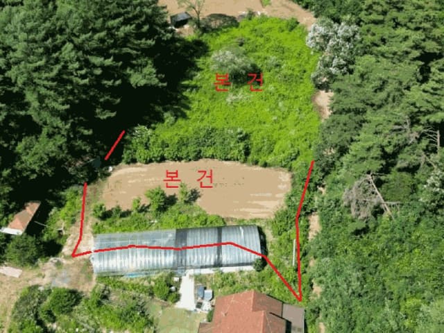 B0002722025013000012916.jpg
