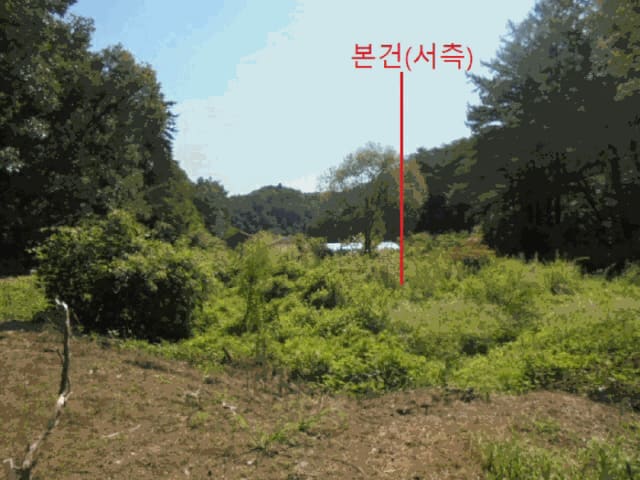B0002722025013000012917.jpg