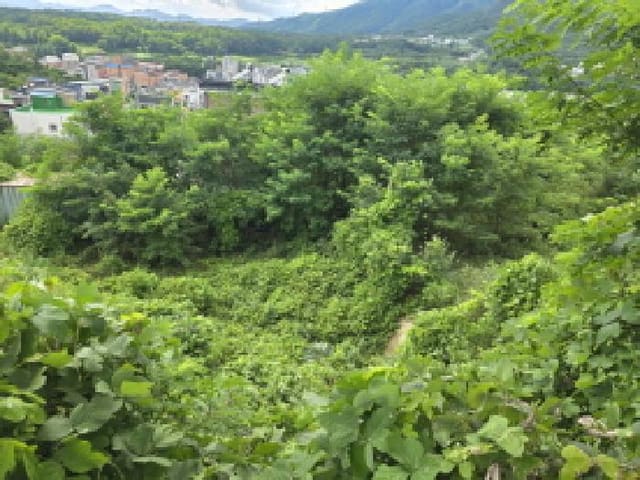 B000272202501300001363.jpg
