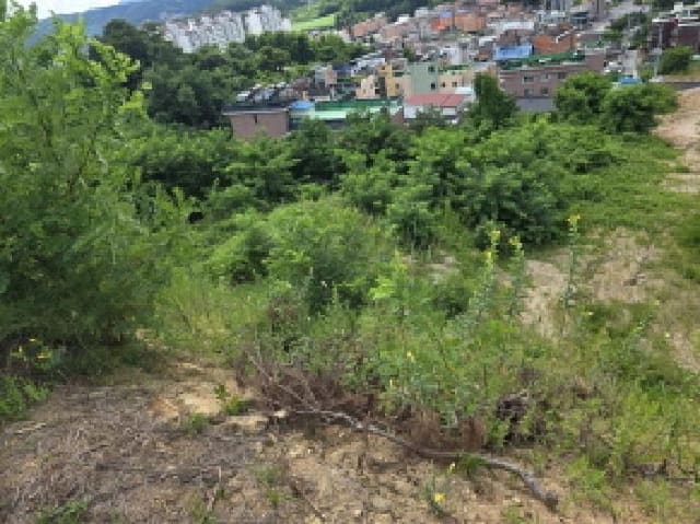 B000272202501300001361.jpg