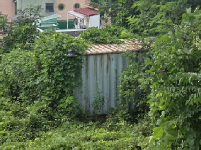 B000272202501300001364.jpg