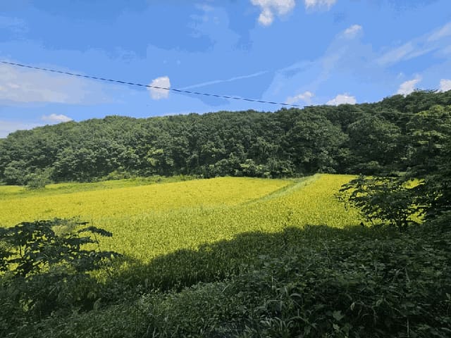 B000272202501300001401.jpg