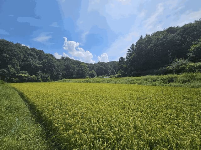 B000272202501300001404.jpg