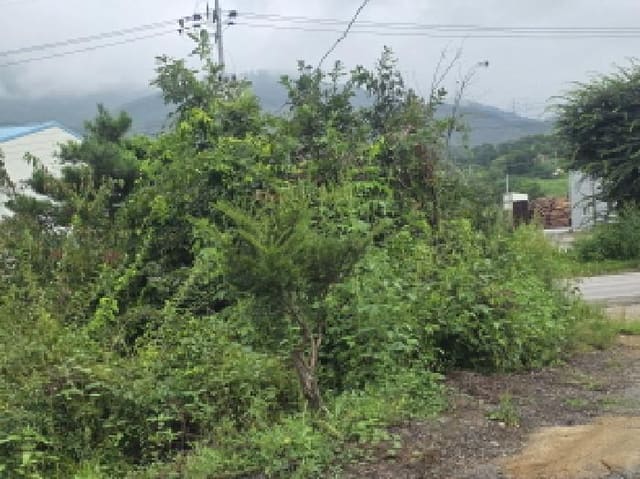 B000272202501300001451.jpg