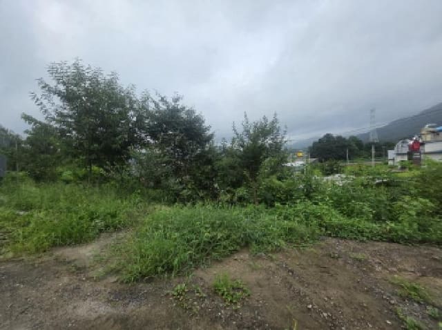 B000272202501300001452.jpg