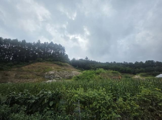 B000272202501300001454.jpg