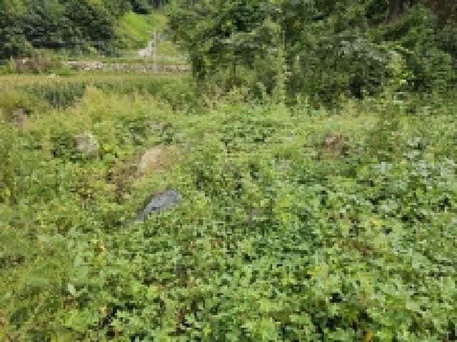 B000272202501300001512.jpg