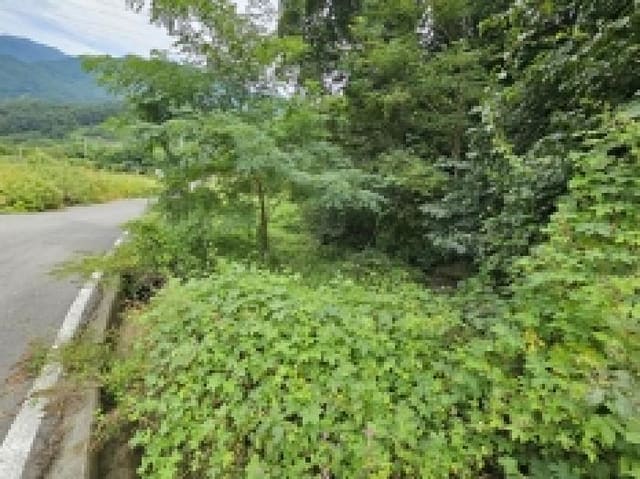 B000272202501300001511.jpg