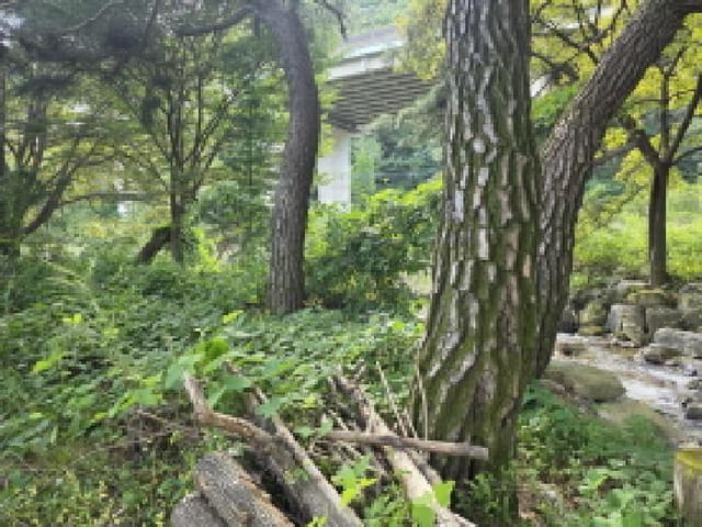 B000272202501300001561.jpg