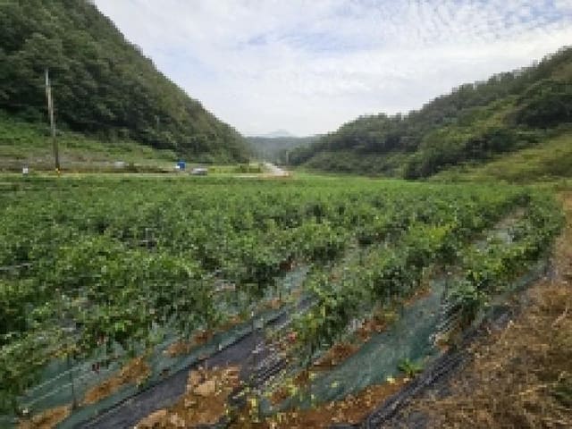 B000272202501300001572.jpg