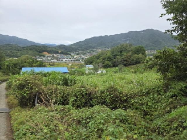 B000272202501300001602.jpg