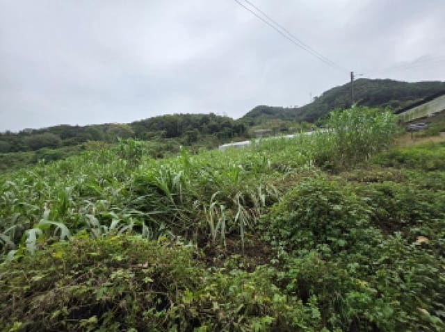 B000272202501300001601.jpg