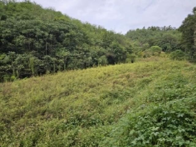 B000272202501300001611.jpg