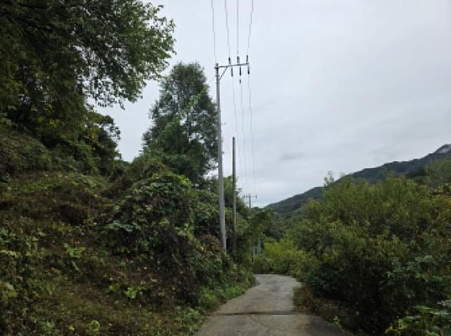 B000272202501300001621.jpg