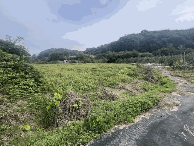 B000272202501300001642.jpg