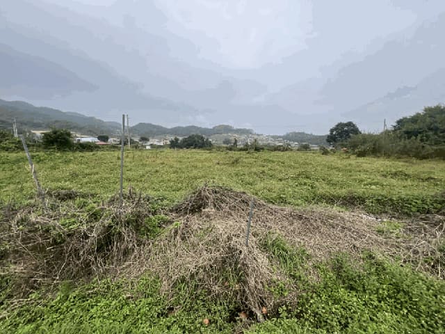 B000272202501300001641.jpg