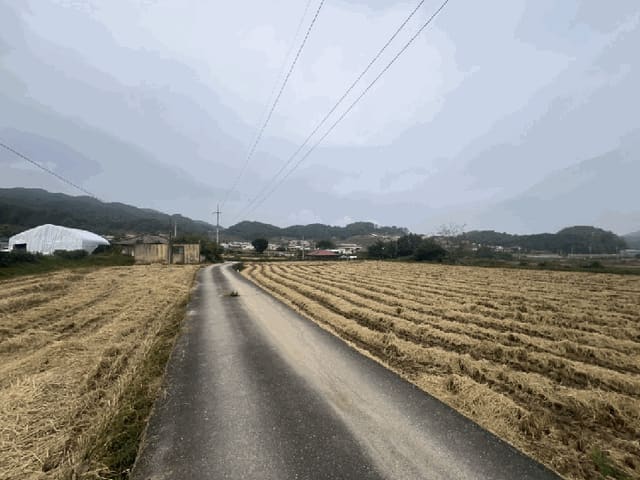 B000272202501300001644.jpg