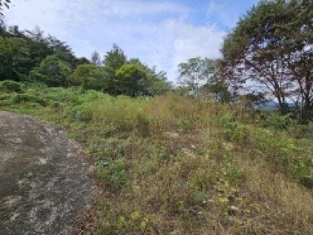 B0002722025013000016617.jpg