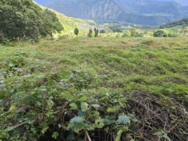 B000272202501300001674.jpg