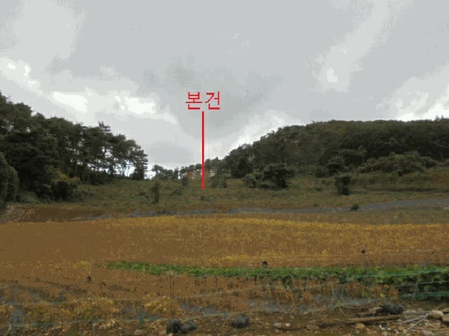 B000272202501300001722.jpg