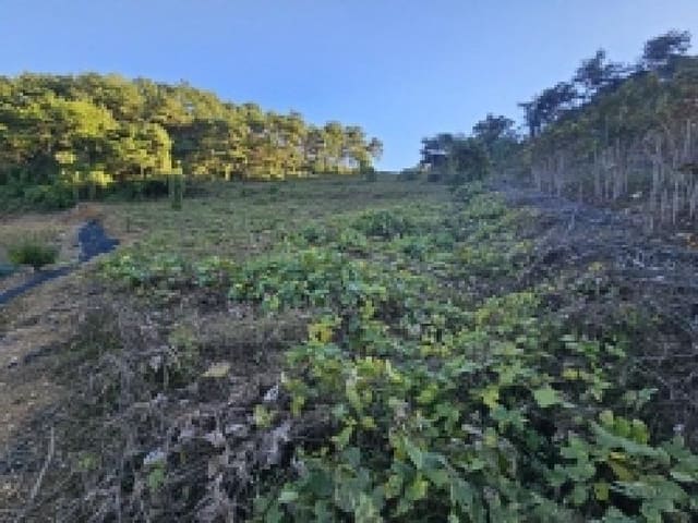 B000272202501300001721.jpg