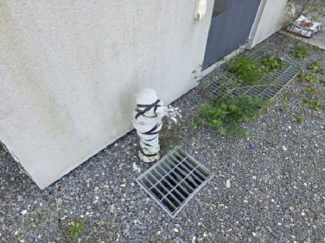 B000272202501300001762.jpg