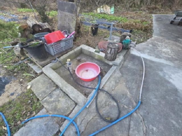 B000272202501300001821.jpg