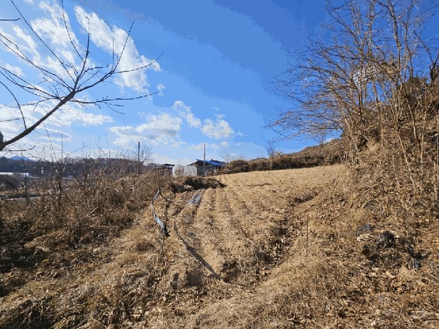 B000272202501300001832.jpg