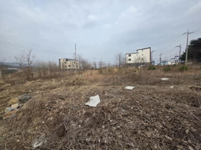 B000272202501300052804.jpg