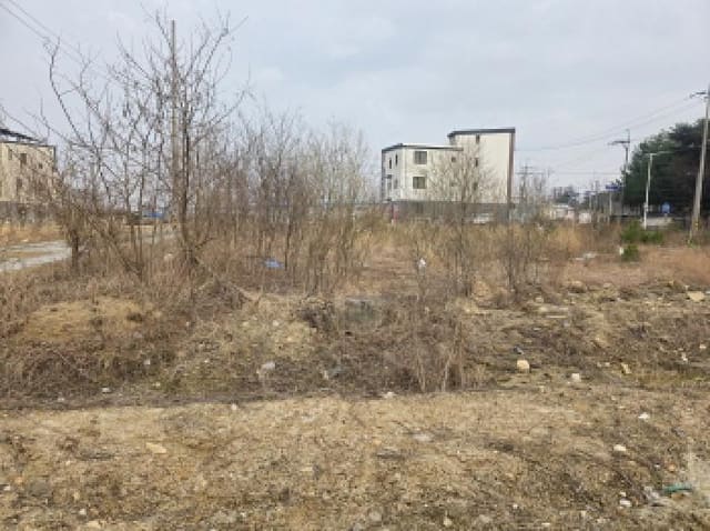 B000272202501300052801.jpg