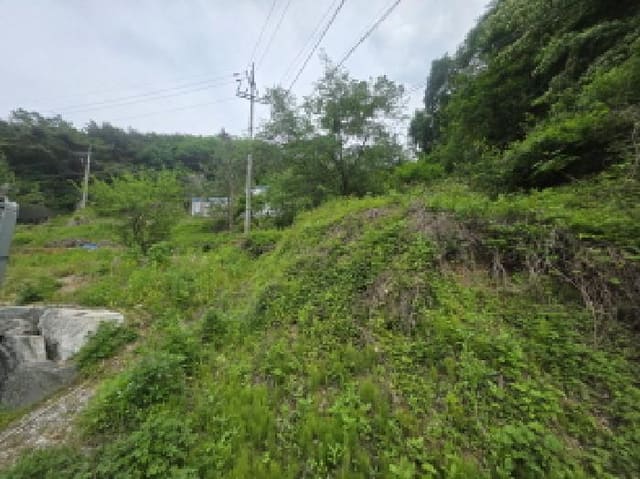 B000272202501300053141.jpg