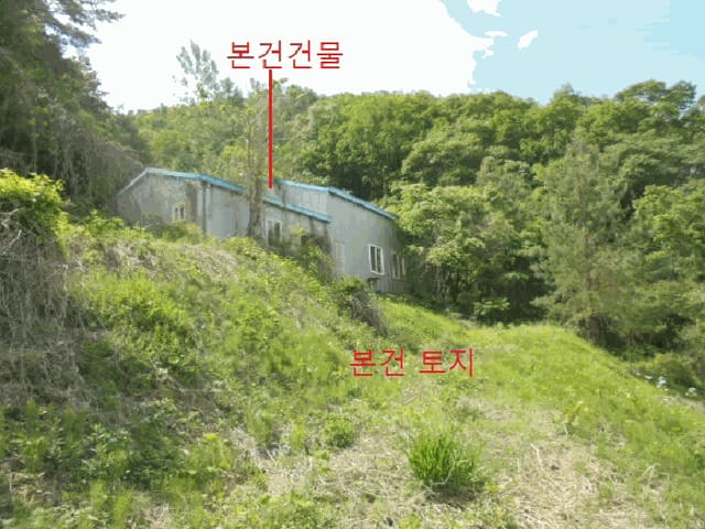 B000272202501300053143.jpg