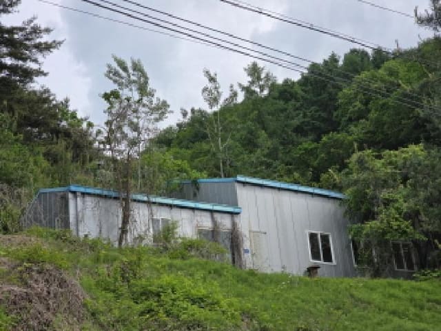 B000272202501300053142.jpg