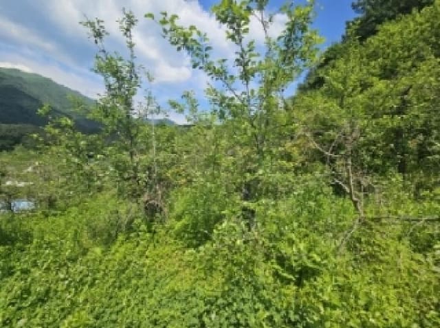 B000272202501300053172.jpg