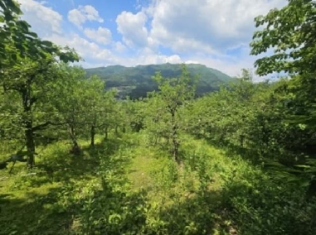 B000272202501300053171.jpg