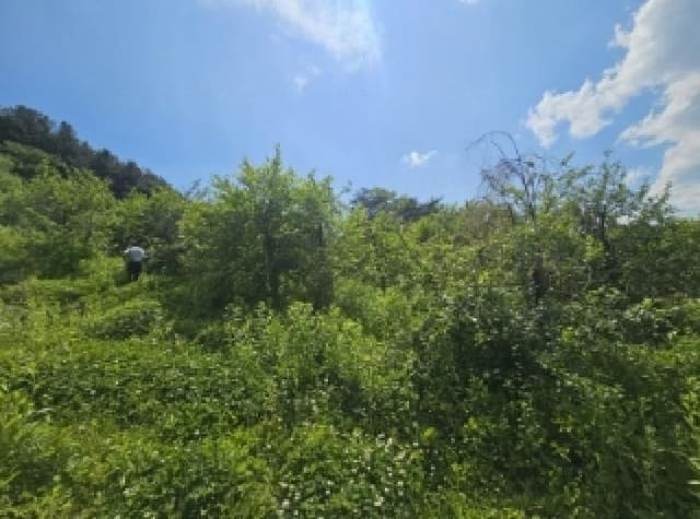 B000272202501300053174.jpg